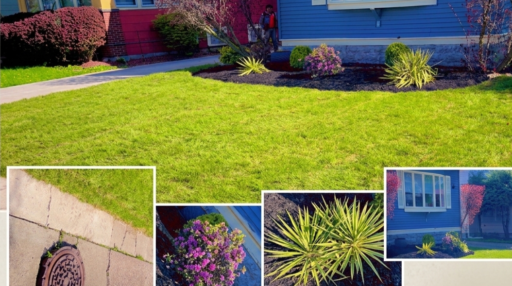 Garden Transformation 2